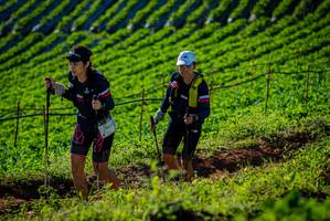 BIB: 176
                            <button type="button" onclick="openModal(19160487)" class="btn btn-primary btn-sm float-right btn-popup" data-toggle="modal" data-target=".modal-high-quality">
                        <i class="fas fa-shopping-cart"></i> Add to Cart
                    </button>
                                            <button type="button" onclick="isThisMe(19160487, true)" class="btn btn-success btn-sm float-right btn-popup btn-isme hidden" data-toggle="tooltip" data-placement="bottom" title="นี่คือรูปของคุณใช่ไหม คลิกที่นี่เพื่อเอาเข้าอัลบั้ม">
                        <i class="fas fa-plus"></i> Add to album
                    </button>
                    <button type="button" onclick="isThisMe(19160487, false)" class="btn btn-warning btn-sm float-right btn-popup btn-isnotme hidden">
                        <i class="fas fa-ban"></i> Remove from album
                    </button>